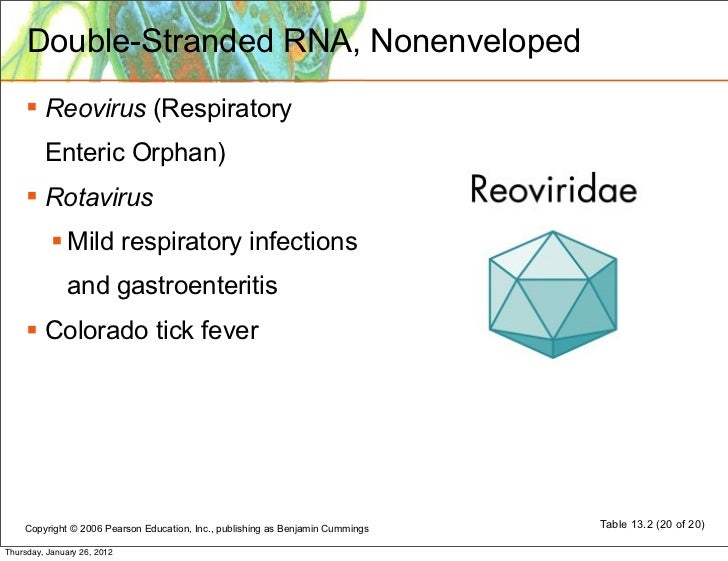 Virus Structure Classification Replication Virus Structure Classification Replication