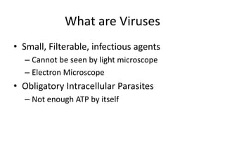 Filterable Virus 8 - Virus Structure Multiplication | PPT