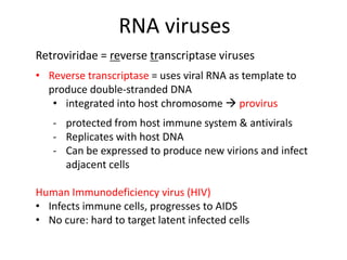 Virus Rna Reverse Transcriptase 8 - Virus Structure Multiplication | PPT