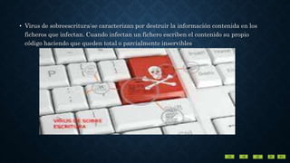 • Virus de sobreescritura:se caracterizan por destruir la información contenida en los
ficheros que infectan. Cuando infectan un fichero escriben el contenido su propio
código haciendo que queden total o parcialmente inservibles
 