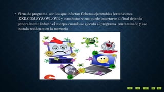 • Virus de programa: son los que infectan ficheros ejecutables (extenciones
,EXE,COM,SYS,OVL,OVR y otros)estos virus puede insertarse al final dejando
generalmente intacto el cuerpo. cuando se ejecuta el programa contaminado y ese
instala residente en la memoria
 