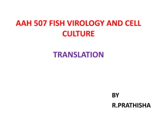 AAH 507 FISH VIROLOGY AND CELL
CULTURE
TRANSLATION
BY
R.PRATHISHA
 