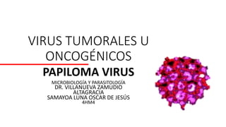 VIRUS TUMORALES U
ONCOGÉNICOS
PAPILOMA VIRUS
MICROBIOLOGÍA Y PARASITOLOGÍA
DR. VILLANUEVA ZAMUDIO
ALTAGRACIA
SAMAYOA LUNA OSCAR DE JESÚS
4HM4
 