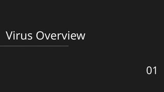 Virus Overview
01
 