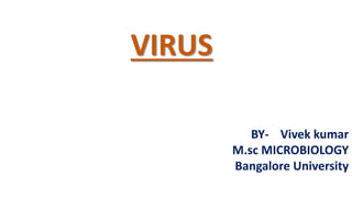 VIRUS
BY- Vivek kumar
M.sc MICROBIOLOGY
Bangalore University
 