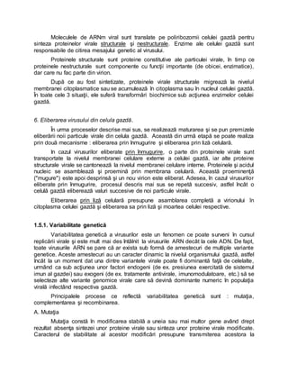 Moleculele de ARNm viral sunt translate pe poliribozomii celulei gazdă pentru
sinteza proteinelor virale structurale şi nestructurale. Enzime ale celulei gazdă sunt
responsabile de citirea mesajului genetic al virusului.
Proteinele structurale sunt proteine constitutive ale particulei virale, în timp ce
proteinele nestructurale sunt componente cu funcţii importante (de obicei, enzimatice),
dar care nu fac parte din virion.
După ce au fost sintetizate, proteinele virale structurale migrează la nivelul
membranei citoplasmatice sau se acumulează în citoplasma sau în nucleul celulei gazdă.
În toate cele 3 situaţii, ele suferă transformări biochimice sub acţiunea enzimelor celulei
gazdă.
6. Eliberarea virusului din celula gazdă.
În urma proceselor descrise mai sus, se realizează maturarea şi se pun premizele
eliberării noii particule virale din celula gazdă. Această din urmă etapă se poate realiza
prin două mecanisme : eliberarea prin înmugurire şi eliberarea prin liză celulară.
In cazul virusurilor eliberate prin înmugurire, o parte din proteinele virale sunt
transportate la nivelul membranei celulare externe a celulei gazdă, iar alte proteine
structurale virale se cantonează la nivelul membranei celulare interne. Proteinele şi acidul
nucleic se asamblează şi proemină prin membrana celulară. Această proeminenţă
("mugure") este apoi desprinsă şi un nou virion este eliberat. Adesea, în cazul virusurilor
eliberate prin înmugurire, procesul descris mai sus se repetă succesiv, astfel încât o
celulă gazdă eliberează valuri succesive de noi particule virale.
Eliberarea prin liză celulară presupune asamblarea completă a virionului în
citoplasma celulei gazdă şi eliberarea sa prin liză şi moartea celulei respective.
1.5.1. Variabilitate genetică
Variabilitatea genetică a virusurilor este un fenomen ce poate surveni în cursul
replicării virale şi este mult mai des întâlnit la virusurile ARN decât la cele ADN. De fapt,
toate virusurile ARN se pare că ar exista sub formă de amestecuri de multiple variante
genetice. Aceste amestecuri au un caracter dinamic la nivelul organismului gazdă, astfel
încât la un moment dat una dintre variantele virale poate fi dominantă faţă de celelalte,
urmând ca sub acţiunea unor factori endogeni (de ex. presiunea exercitată de sistemul
imun al gazdei) sau exogeni (de ex. tratamente antivirale, imunomodulatoare, etc.) să se
selecteze alte variante genomice virale care să devină dominante numeric în populaţia
virală infectând respectiva gazdă.
Principalele procese ce reflectă variabilitatea genetică sunt : mutaţia,
complementarea şi recombinarea.
A. Mutaţia
Mutaţia constă în modificarea stabilă a uneia sau mai multor gene având drept
rezultat absenţa sintezei unor proteine virale sau sinteza unor proteine virale modificate.
Caracterul de stabilitate al acestor modificări presupune transmiterea acestora la
 