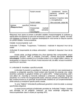 Factori umorali
Factori celulari
- complement, lizozim,
interferoni, proteine de
fază acută
(proteina C reactivă, beta
2- microglobulina)
- flora asociată, celule NK
Apărare specifică
(Răspuns imun)
Anticorpi
Citotoxicitate mediată
celular, activarea
macrofagelor
Răspunsul imun apare ca urmare a stimulării celulelor imunocompetente la contactul cu
agenţi străini de organism şi care sunt recunoscuţi ca atare ("non-self"). Agenţii "non-self"
sunt antigene şi prezenţa lor în organism declanşează în mod normal un răspuns specific
din partea celulelor imunocompetente.
Celulele imunocompetente sunt :
-limfocitele T (T-helper, T-suppressor, T-citotoxice) - implicate în răspunsul imun de tip
celular
-limfocitele B (responsabile de sinteza anticorpilor) - implicate în răspunsul imun de tip
umoral.
Aceste celule, pe lângă abilitatea de a face distincţia între componentele proprii
organismului (structuri "self") şi antigene ("non-self"), posedă aşa-numita memorie
imunologică. Conform acesteia, la un al doilea contact cu un antigen întâlnit anterior, se
declanşează un răspuns imun eficient. Acest mecanism stă, de altfel, la baza imunizărilor
specifice prin vaccinare.
A. Limfocitele B - Imunitatea specifică umorală.
Limfocitele B prezintă la suprafaţa lor molecule de anticorpi care reacţionează la
contactul cu antigenele specifice. Acest contact este favorizat de prezenţa unor celule
dendritice cantonate în ganglionii limfatici şi în splină (APC - "antigen-presenting cells")
care alături de macrofge şi monocite realizează o prelucrare a antigenului respectiv
aducându-l la o formă mai recognoscibilă pentru anticorpii prezenţi pe limfocitele B. De
fapt, aceste procese au un grad înalt de specificitate, bazându-se pe complementaritatea
dintre anticorp şi receptorul specific pentru acesta.
În urma "întâlnirii" limfocitele B proliferează generând o clonă de celule cu aceeaşi
specificitate antigenică.
La acest proces participă şi limfokinele secretate de limfocitele T-helper. Acestea
sunt stimulate tot de antigenul "prelucrat", pe baza existenţei antigenelor de
histocompatibilitate clasa II situate pe suprafaţa APC.
 