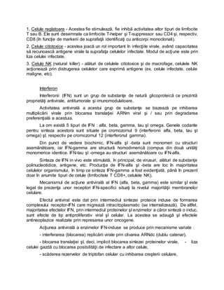 1. Celule reglatoare - Acestea fie stimulează, fie inhibă activitatea altor tipuri de limfocite
T sau B. Ele sunt desemnate ca limfocite T-helper şi T-suppressor sau CD4 şi, respectiv,
CD8 (în funcţie de markerii de suprafaţă identificaţi cu anticorpi monoclonali).
2. Celule citotoxice - acestea joacă un rol important în infecţiile virale, având capacitatea
să recunoască antigene virale la suprafaţa celulelor infectate. Modul de acţiune este prin
liza celulei infectate.
3. Celule NK (natural killer) - alături de celulele citotoxice şi de macrofage, celulele NK
acţionează prin distrugerea celulelor care exprimă antigene (ex. celule infectate, celule
maligne, etc).
Interferon
Interferonii (IFN) sunt un grup de substanţe de natură glicoproteică ce prezintă
proprietăţi antivirale, antitumorale şi imunomodulatoare.
Activitatea antivirală a acestui grup de substanţe se bazează pe inhibarea
multiplicării virale prin blocarea translaţiei ARNm viral şi / sau prin degradarea
preferenţială a acestuia.
La om există 5 tipuri de IFN : alfa, beta, gamma, tau şI omega. Genele codante
pentru sinteza acestora sunt situate pe cromozomul 9 (interferonii alfa, beta, tau şI
omega) şI, respectiv pe cromozomul 12 (interferonul gamma).
Din punct de vedere biochimic, IFN-alfa şI -beta sunt monomeri cu structuri
asemănătoare, iar IFN-gamma are structură homodimerică (compus din două unităţi
monomerice identice. IFN-tau şI -omega au structuri asemănătoare cu IFN-alfa.
Sinteza de IFN in vivo este stimulată, în principal, de virusuri, alături de substanţe
polinucleotidice, antigene, etc. Producţia de IFN-alfa şI -beta are loc în majoritatea
celulelor organismului, în timp ce sinteza IFN-gamma a fost evidenţiată, până în prezent
doar în anumite tipuri de celule (limfocitele T CD8+, celulele NK).
Mecanismul de acţiune antivirală al IFN (alfa, beta, gamma) este similar şI este
legat de prezenţa unor receptori IFN-specifici situaţi la nivelul majorităţii membranelor
celulare.
Efectul antiviral este dat prin intermediul sintezei proteice induse de formarea
complexului receptor-IFN care migrează intracitoplasmatic (se internalizează). De altfel,
majoritatea efectelor IFN, prin intermediul proteinelor şI enzimelor a căror sinteză o induc,
sunt efecte de tip antiproliferativ viral şI celular. La acestea se adaugă şI efectele
antineoplazice realizate prin represarea unor oncogene.
Acţiunea antivirală a enzimelor IFN-induse se produce prin mecanisme variate :
- interferarea (blocarea) replicării virale prin clivarea ARNdc (dublu catenar),
- blocarea translaţiei şI, deci, implicit blocarea sintezei proteinelor virale, - liza
celulei gazdă cu blocarea posibilităţii de infectare a altor celule,
- scăderea rezervelor de triptofan celular cu inhibarea creşterii celulare,
 