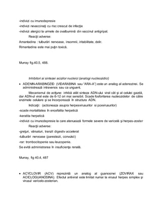 -indivizi cu imunodepresie
-indivizi nevaccinaţi cu risc crescut de infecţie
-indivizi alergici la urmele de ovalbumină din vaccinul antigripal.
Reacţii adverse:
Amantadina : tulburări nervoase, insomnii, iritabilitate, delir.
Rimantadina este mai puţin toxică.
Murray fig.40.5, 488.
Inhibitori ai sintezei acizilor nucleici (analogi nucleozidici)
 ADENIN-ARABINOZID (VIDARABINA sau “ARA-A”) este un analog al adenozinei. Se
administrează intravenos sau ca unguent.
Mecanismul de actţune: inhibă atât sinteza ADN-ului viral cât şi al celulei gazdă,
dar ADN-ul viral este de 6-12 ori mai sensibil. Scade fosforilarea nucleozidelor de către
enzimele celulare şi se încorporează în structura ADN.
Indicaţii: (actioneaza asupra herpesvirusurilor si poxvirusurilor)
-scade mortalitatea în encefalita herpetică
-keratita herpetică
-indivizi cu imunodepresie la care atenuează formele severe de varicelă şi herpes-zoster
Reacţii adverse:
-greţuri, vărsaturi, tranzit digestiv accelerat
-tulburări nervoase (parestezii, convulsii)
-rar: trombocitopenie sau leucopenie.
Se evită administrarea în insuficienţa renală.
Murray, fig 40.4, 487
 ACYCLOVIR (ACV) reprezintă un analog al guanosinei (ZOVIRAX sau
ACICLOGUANOSINA). Efectul antiviral este limitat numai la virusul herpes simplex şi
virusul varicelo-zosterian.
 
