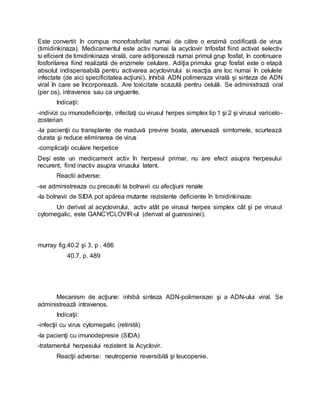 Este convertit în compus monofosforilat numai de către o enzimă codificată de virus
(timidinkinaza). Medicamentul este activ numai la acyclovir trifosfat fiind activat selectiv
si eficient de timidinkinaza virală, care adiţionează numai primul grup fosfat, în continuare
fosforilarea fiind realizată de enzimele celulare. Adiţia primului grup fosfat este o etapă
absolut indispensabilă pentru activarea acyclovirului si reacţia are loc numai în celulele
infectate (de aici specificitatea acţiunii). Inhibă ADN polimeraza virală şi sinteza de ADN
viral în care se încorporează. Are toxicitate scazută pentru celulă. Se administrază oral
(per os), intravenos sau ca unguente.
Indicaţii:
-indivizi cu imunodeficienţe, infectaţi cu virusul herpes simplex tip 1 şi 2 şi virusul varicelo-
zosterian
-la pacienţii cu transplante de maduvă previne boala, atenuează simtomele, scurtează
durata şi reduce eliminarea de virus
-complicaţii oculare herpetice
Deşi este un medicament activ în herpesul primar, nu are efect asupra herpesului
recurent, fiind inactiv asupra virusului latent.
Reactii adverse:
-se administreaza cu precautii la bolnavii cu afecţiuni renale
-la bolnavii de SIDA pot apărea mutante rezistente deficiente în timidinkinaze.
Un derivat al acyclovirului, activ atât pe virusul herpes simplex cât şi pe virusul
cytomegalic, este GANCYCLOVIR-ul (derivat al guanosinei).
murray fig.40.2 şi 3, p . 486
40.7, p. 489
Mecanism de acţiune: inhibă sinteza ADN-polimerazei şi a ADN-ului viral. Se
administrează intravenos.
Indicaţii:
-infecţii cu virus cytomegalic (retinită)
-la pacienţi cu imunodepresie (SIDA)
-tratamentul herpesului rezistent la Acyclovir.
Reacţii adverse: neutropenie reversibilă şi leucopenie.
 