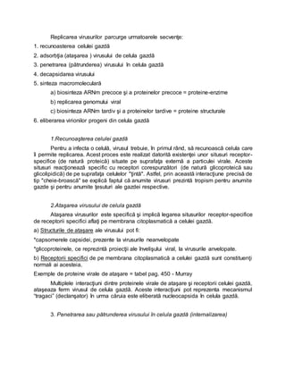 Replicarea virusurilor parcurge urmatoarele secvenţe:
1. recunoasterea celulei gazdă
2. adsorbţia (ataşarea ) virusului de celula gazdă
3. penetrarea (pătrunderea) virusului în celula gazdă
4. decapsidarea virusului
5. sinteza macromoleculară
a) biosinteza ARNm precoce şi a proteinelor precoce = proteine-enzime
b) replicarea genomului viral
c) biosinteza ARNm tardiv şi a proteinelor tardive = proteine structurale
6. eliberarea virionilor progeni din celula gazdă
1.Recunoaşterea celulei gazdă
Pentru a infecta o celulă, virusul trebuie, în primul rând, să recunoască celula care
îi permite replicarea. Acest proces este realizat datorită existenţei unor situsuri receptor-
specifice (de natură proteică) situate pe suprafaţa externă a particulei virale. Aceste
situsuri reacţionează specific cu receptori corespunzători (de natură glicoproteică sau
glicolipidică) de pe suprafaţa celulelor "ţintă". Astfel, prin această interacţiune precisă de
tip "cheie-broască" se explică faptul că anumite virusuri prezintă tropism pentru anumite
gazde şi pentru anumite ţesuturi ale gazdei respective.
2.Ataşarea virusului de celula gazdă
Ataşarea virusurilor este specifică şi implică legarea situsurilor receptor-specifice
de receptorii specifici aflaţi pe membrana citoplasmatică a celulei gazdă.
a) Structurile de ataşare ale virusului pot fi:
*capsomerele capsidei, prezente la virusurile neanvelopate
*glicoproteinele, ce reprezintă proiecţii ale învelişului viral, la virusurile anvelopate.
b) Receptorii specifici de pe membrana citoplasmatică a celulei gazdă sunt constituenţi
normali ai acesteia.
Exemple de proteine virale de ataşare = tabel pag. 450 - Murray
Multiplele interacţiuni dintre proteinele virale de ataşare şi receptorii celulei gazdă,
ataşeaza ferm virusul de celula gazdă. Aceste interacţiuni pot reprezenta mecanismul
“tragaci” (declanşator) în urma căruia este eliberată nucleocapsida în celula gazdă.
3. Penetrarea sau pătrunderea virusului în celula gazdă (internalizarea)
 