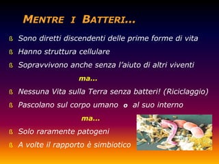 ß Sono diretti discendenti delle prime forme di vita

ß Hanno struttura cellulare

ß Sopravvivono anche senza l‟aiuto di altri viventi

                   ma...
ß Nessuna Vita sulla Terra senza batteri! (Riciclaggio)

ß Pascolano sul corpo umano o al suo interno

                    ma...
ß Solo raramente patogeni

ß A volte il rapporto è simbiotico
 