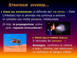    VIRUS DEL RAFFREDDORE: si diffonde per via aerea → Folla
    L‟infettato non si ammala ma continua a entrare
    in contatto con molte persone, infettandole
    (è imp. la propagazione prima
      della risposta immunitaria!)



                             VIRUS DELLA FEBBRE GIALLA:
                           è veicolato da zanzare →
                          Strategia: confinare la vittima
                          a letto, inferma, per assicurare
                          un serbatoio di sangue infetto
 