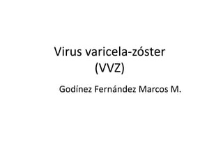 Virus varicela-zóster
(VVZ)
Godínez Fernández Marcos M.
 