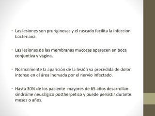 • Las lesiones son pruriginosas y el rascado facilita la infeccion
bacteriana.
• Las lesiones de las membranas mucosas aparecen en boca
conjuntiva y vagina.
• Normalmente la aparición de la lesión va precedida de dolor
intenso en el área inervada por el nervio infectado.
• Hasta 30% de los paciente mayores de 65 años desarrollan
síndrome neurálgico postherpetico y puede persistir durante
meses o años.
 