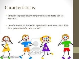 Características
• También se puede diseminar por contacto directo con las
vesículas.
• La enfermedad se desarrolla aproximadamente en 10% a 20%
de la población infectada por VVZ.
 