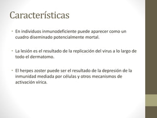 Características
• En individuos inmunodeficiente puede aparecer como un
cuadro diseminado potencialmente mortal.
• La lesión es el resultado de la replicación del virus a lo largo de
todo el dermatomo.
• El herpes zoster puede ser el resultado de la depresión de la
inmunidad mediada por células y otros mecanismos de
activación vírica.
 