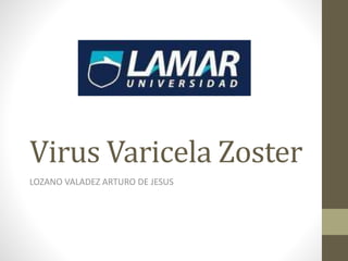 Virus Varicela Zoster
LOZANO VALADEZ ARTURO DE JESUS
 