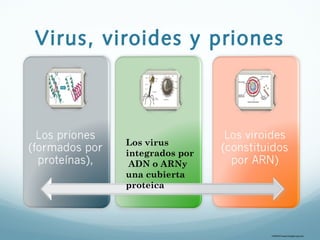 Virus, viroides y priones
Los virus
integrados por
ADN o ARNy
una cubierta
proteica
TOMADO:www.biologia-org.com
 
