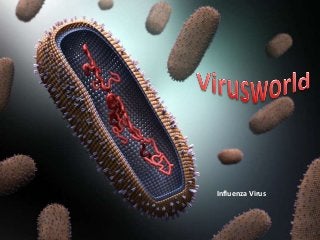 Influenza Virus
 