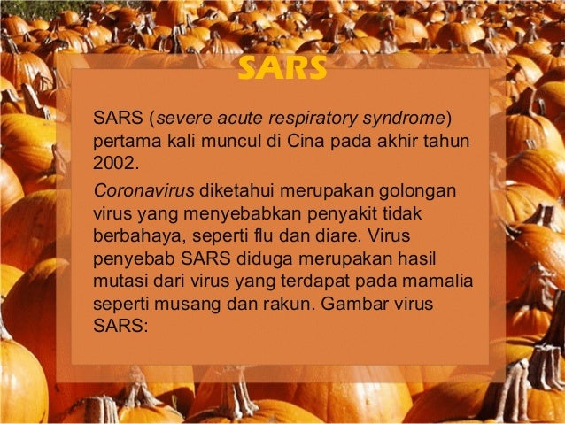 Virus Yang Merugikan Manusia