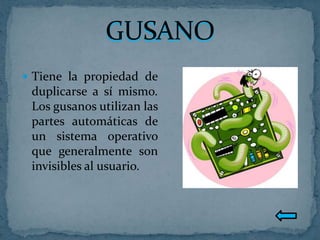  Tiene la propiedad de
 duplicarse a sí mismo.
 Los gusanos utilizan las
 partes automáticas de
 un sistema operativo
 que generalmente son
 invisibles al usuario.
 
