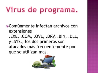  Comúnmente   infectan archivos con
 extensiones
 .EXE, .COM, .OVL, .DRV, .BIN, .DLL,
 y .SYS., los dos primeros son
 atacados más frecuentemente por
 que se utilizan mas.
 