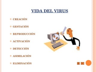 VIDA DEL VIRUS
   CREACIÓN

   GESTACIÓN

   REPRODUCCIÓN

   ACTIVACIÓN

   DETECCIÓN

   ASIMILACIÓN

   ELIMINACIÓN
 
