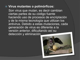    Virus mutantes o polimórficos:
    Son virus que mutan, es decir cambian
    ciertas partes de su código fuente
    haciendo uso de procesos de encriptación
    y de la misma tecnología que utilizan los
    antivirus. Debido a estas mutaciones, cada
    generación de virus es diferente a la
    versión anterior, dificultando así su
    detección y eliminación.
 