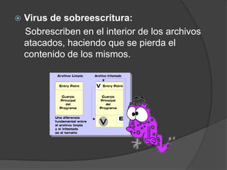    Virus de sobreescritura:
    Sobrescriben en el interior de los archivos
    atacados, haciendo que se pierda el
    contenido de los mismos.
 