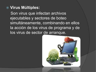    Virus Múltiples:
    Son virus que infectan archivos
    ejecutables y sectores de boteo
    simultáneamente, combinando en ellos
    la acción de los virus de programa y de
    los virus de sector de arranque.
 