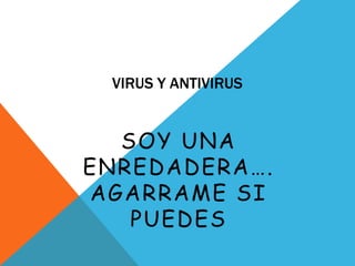 VIRUS Y ANTIVIRUS

SOY UNA
ENREDADERA….
AGARRAME SI
PUEDES

 