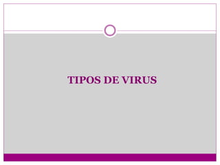 TIPOS DE VIRUS 
 
