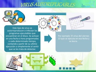 Este tipo de virus se
autorreproducen e infectan los
programas ejecutables que
encuentran en el disco. Se activan
en una fecha o hora programadas
o cada determinado tiempo,
contando a partir de su ultimo
ejecución o simplemente al sentir
que se les trata de detectar.
Por ejemplo: El virus del viernes
13 que se ejecuta en esa fecha y
se borra.
 