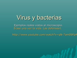 Virus y bacterias
Ejemplos reales vistos al microscopio.
Érase una vez la vida. Las defensas1.

http://www.youtube.com/watch?v=qN-7am0SFpA
 