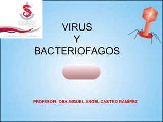 VIRUS
      Y
BACTERIOFAGOS



PROFESOR: QBA MIGUEL ÁNGEL CASTRO RAMÍREZ
 