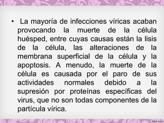 • La mayoría de infecciones víricas acaban
provocando la muerte de la célula
huésped, entre cuyas causas están la lisis
de la célula, las alteraciones de la
membrana superficial de la célula y la
apoptosis. A menudo, la muerte de la
célula es causada por el paro de sus
actividades normales debido a la
supresión por proteínas específicas del
virus, que no son todas componentes de la
partícula vírica.
 