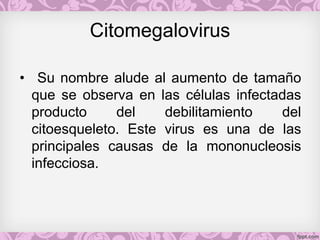 Citomegalovirus
• Su nombre alude al aumento de tamaño
que se observa en las células infectadas
producto del debilitamiento del
citoesqueleto. Este virus es una de las
principales causas de la mononucleosis
infecciosa.
 