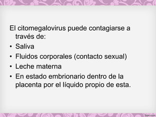 El citomegalovirus puede contagiarse a
través de:
• Saliva
• Fluidos corporales (contacto sexual)
• Leche materna
• En estado embrionario dentro de la
placenta por el líquido propio de esta.
 