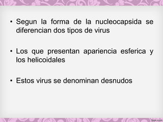 • Segun la forma de la nucleocapsida se
diferencian dos tipos de virus
• Los que presentan apariencia esferica y
los helicoidales
• Estos virus se denominan desnudos
 