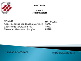 BIOLOGIA 1
VIRUS
RESPIRACION
NOMBRE
Ángel de Jesús Maldonado Martínez
Gilberto de la Cruz Flores
Giovanni Macareno Aragó...