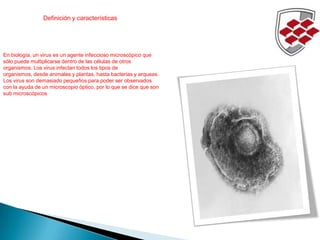 En biología, un virus es un agente infeccioso microscópico que
sólo puede multiplicarse dentro de las células de otros
org...