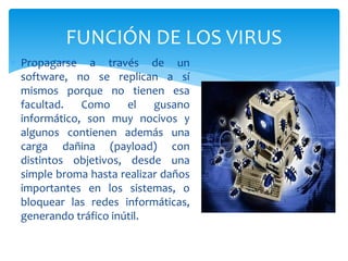  Propagarse a través de un
software, no se replican a sí
mismos porque no tienen esa
facultad. Como el gusano
informático, son muy nocivos y
algunos contienen además una
carga dañina (payload) con
distintos objetivos, desde una
simple broma hasta realizar daños
importantes en los sistemas, o
bloquear las redes informáticas,
generando tráfico inútil.
FUNCIÓN DE LOS VIRUS
 
