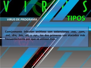 VIRUS DE PROGRAMA

TIPOS

Comúnmente infectan archivos con extensiones .exe, .com,
.ovl, .drv, .bin, .dll, y .sys., los dos primeros son atacados más
frecuentemente por que se utilizan más.

 