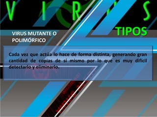 VIRUS MUTANTE O
POLIMÓRFICO

TIPOS

Cada vez que actúa lo hace de forma distinta, generando gran
cantidad de copias de sí mismo por lo que es muy difícil
detectarlo y eliminarlo.

 