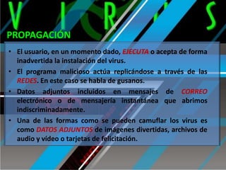 PROPAGACIÓN
• El usuario, en un momento dado, EJECUTA o acepta de forma
inadvertida la instalación del virus.
• El programa malicioso actúa replicándose a través de las
REDES. En este caso se habla de gusanos.
• Datos adjuntos incluidos en mensajes de CORREO
electrónico o de mensajería instantánea que abrimos
indiscriminadamente.
• Una de las formas como se pueden camuflar los virus es
como DATOS ADJUNTOS de imágenes divertidas, archivos de
audio y vídeo o tarjetas de felicitación.

 