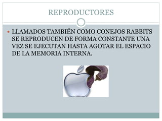REPRODUCTORES
 LLAMADOS TAMBIÉN COMO CONEJOS RABBITS
SE REPRODUCEN DE FORMA CONSTANTE UNA
VEZ SE EJECUTAN HASTA AGOTAR EL ESPACIO
DE LA MEMORIA INTERNA.
 