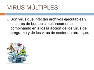 VIRUS MÚLTIPLES
 Son virus que infectan archivos ejecutables y
sectores de booteo simultáneamente,
combinando en ellos la acción de los virus de
programa y de los virus de sector de arranque.
 
