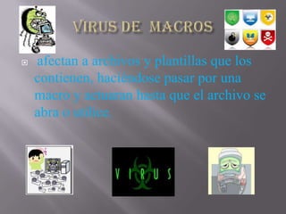    afectan a archivos y plantillas que los
    contienen, haciéndose pasar por una
    macro y actuaran hasta que el archivo se
    abra o utilice.
 