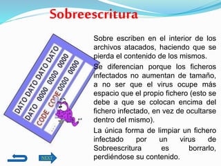 Sobreescritura
Sobre escriben en el interior de los
archivos atacados, haciendo que se
pierda el contenido de los mismos.
Se diferencian porque los ficheros
infectados no aumentan de tamaño,
a no ser que el virus ocupe más
espacio que el propio fichero (esto se
debe a que se colocan encima del
fichero infectado, en vez de ocultarse
dentro del mismo).
La única forma de limpiar un fichero
infectado por un virus de
Sobreescritura es borrarlo,
perdiéndose su contenido.NEXT
 